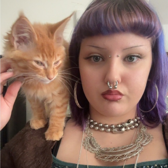 Meet your Posher, Fiona - Picture 5 of 6